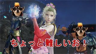 おわんこちゃんのメテオティナで拒否チャをがんばるぞ! dffac ティナ #9