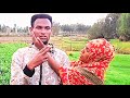 Piraankii Abu Hamzaan Maraataa Ta E Ummi Hamzaan Gar Malee Rifatte 