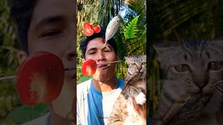 FOOD ASMR🍅🐟🌿 #shorts #reverse #food #mukbang #funny #fruit #cat #cute #pets