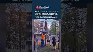 two men fail to rescue cat stuck on a pole in viral clip #catlife