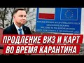 Продление виз и карт побыта в Польше во время карантина