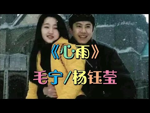 毛宁杨钰莹情歌对唱《心雨》当年的金童玉女经典老歌，越听越好听