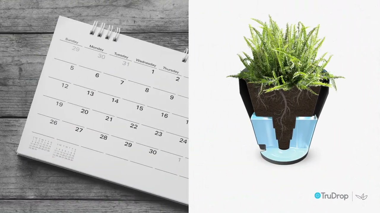 Crescent Garden's revolutionary TruDrop self-watering for phenomenal results  1080p