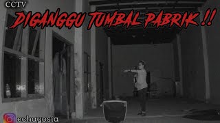 BENERAN SEREM ‼️ NYARIS KESURUPAN TUMBAL PABRIK AKIBAT NEKAT UJI NYALI DI PABRIK ANGKER !! 
