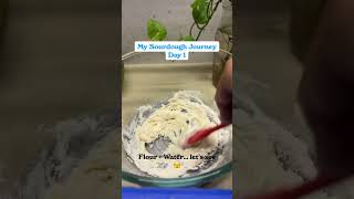 Day 1 | Sourdough Bread | No Yeast Bread | Artisan Bread | Bread #ytshorts #bread #shorts #yt #food