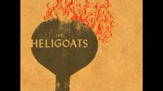 Video voorbeeld van "The Heligoats : Florida Panther : Goodness Gracious"