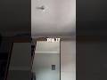 Dia 17 - 0 a 10k ( Sabadoooou ) #explore #viral #vlog #fyp #foryou #ygorwilcom