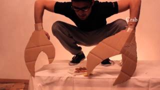 How Animals Eat Their Food watch