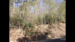 130 Fairway Dr Lot 14,  Pickens, SC 29671 - Greg McMahan Owner/Broker - MLS 20274379