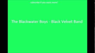 Video thumbnail of "Irish Drinking Songs-  The Blackwater Boys - Black Velvet Band"