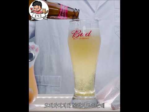 <strong>버드와이저</strong> [빠른 술 한모금] #Shorts