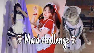 New Maid Outfit Challenge Tiktok Compilation Douyin
