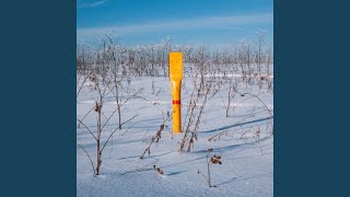 58o45/39'94 - Светлый нефильтрованный взгляд