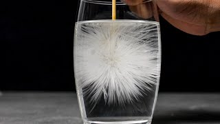 5 AMAZING TRICKS AND EXPERIMENTS / Science Experiments/ Water tricks/ Easy Experiments