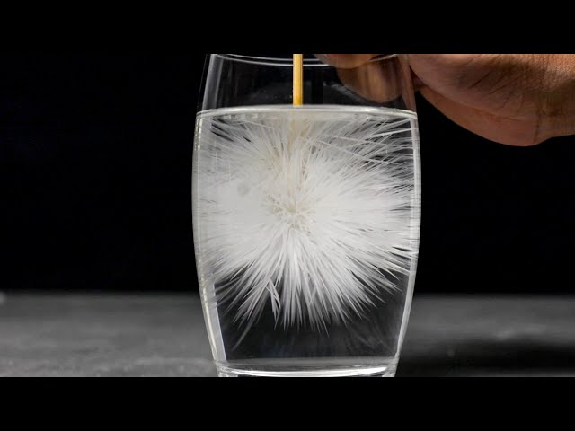 5 AMAZING TRICKS AND EXPERIMENTS / Science Experiments/ Water tricks/ Easy Experiments class=