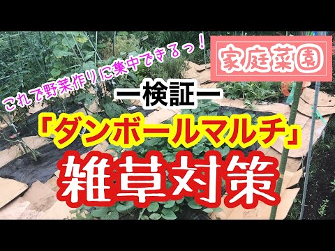 段ボールの賢い使い方7選！ガーデニングで節約＆エコ