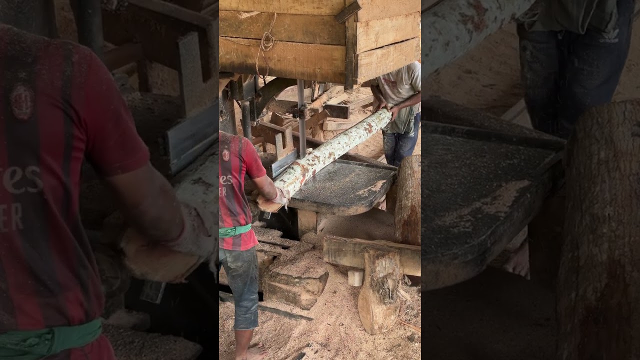 Expert Sawmill Operators Crafting Precision Wood Products