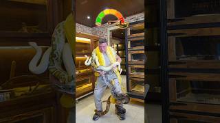 Can You Hold 100Kg Of Snakes?