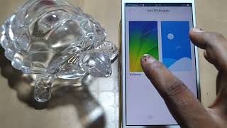 how to set wallpaper oppo A73 screenshot 4