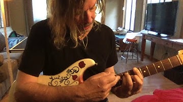 Spring Has Sprung by The Skeggs - Guitar Tutorial