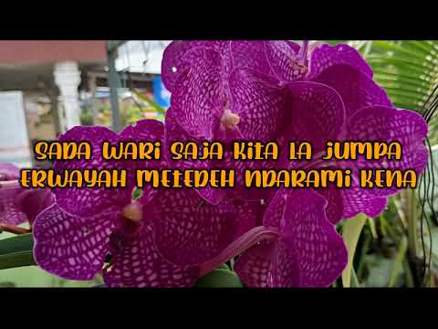 Lagu karo kebaya renda renda