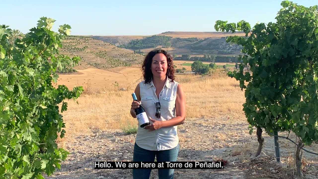 Resalte Vendimia Seleccionada (English)