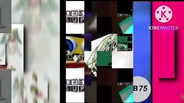 18 shuric scans are with slides