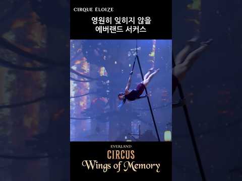 자기 전에 에버랜드 서커스 생각 많이 날거야｜#shorts #윙즈오브메모리 #서커스