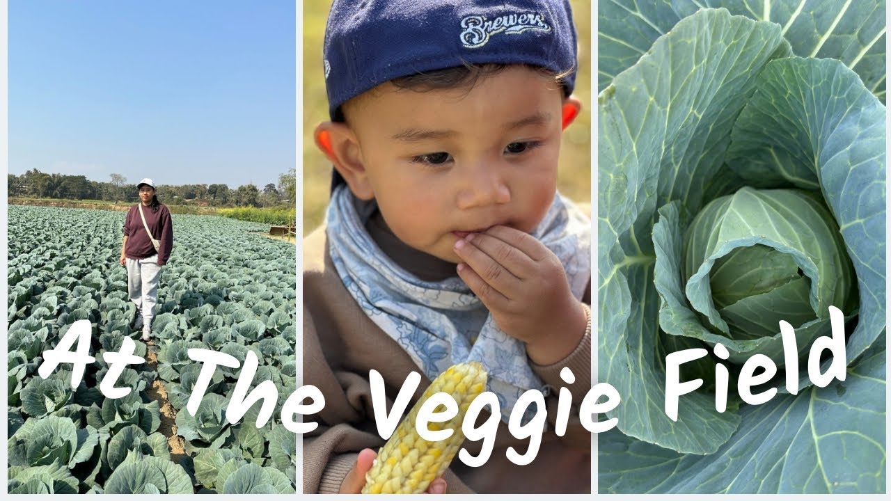 Exploring the Vegetable Fields | Lewis’s First Visit @Rhonmu 
