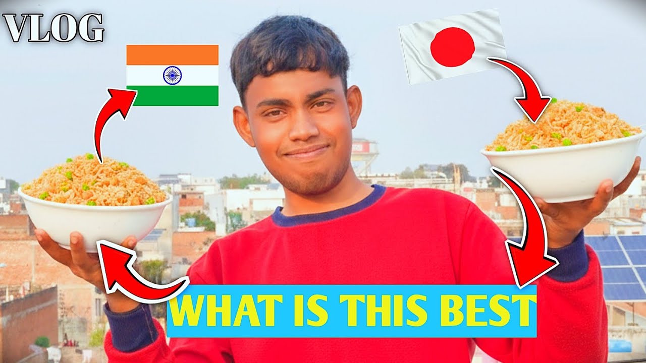 Japanese fry rice Vs Indian fry rice|| what is best || OG Vlog|| 