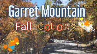 Pride In Paterson #108 colorful foliage at Garret Mountain Reservation!