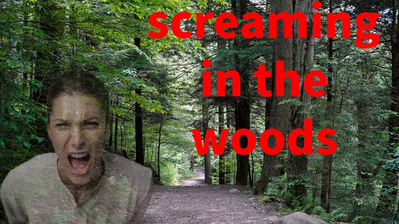 screaming in the woods ( even scarier deep woods stories ) YouTube
