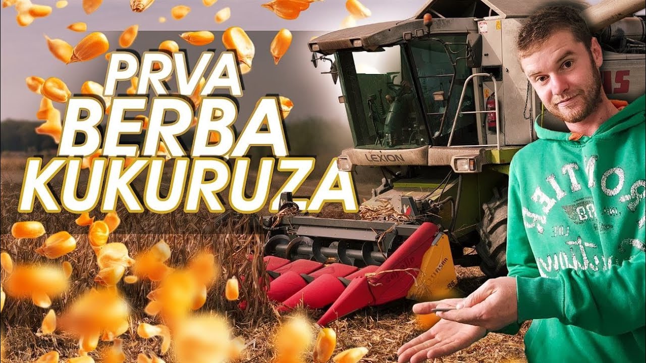 Daily Work Log on My Farm | #71 Finally starting the corn harvest on our farm! 🌽🚜