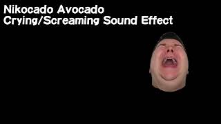 Nikocado Avocado Crying Sound Effect 3