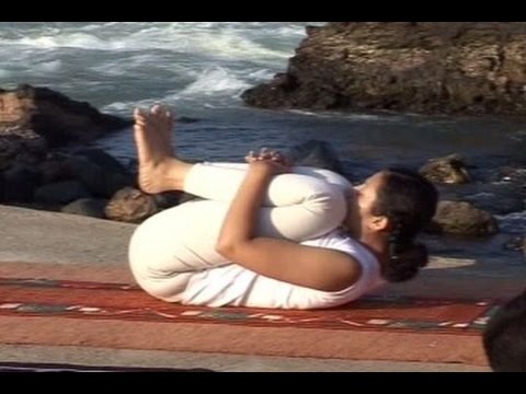 Pawanmuktasana, Naukasana, Surya Chandra Bhastrika Pranayama | Yoga Tutorial Session & Benefits