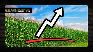 Did Corn Prices Just Bottom on a "Friendly" USDA Report? + Morocco Phosphate Duties Dropped