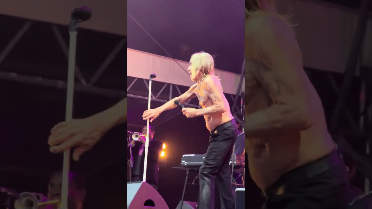 🔥👕 Red Hot Chili Peppers’ Old Friend – Iggy Pop – his growl still shakes digital walls