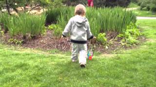 Sinkata V Park Floral De Paris