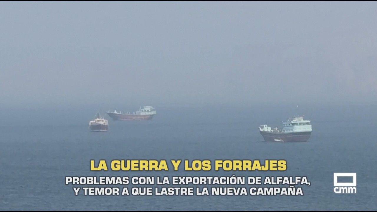 El Campo | Problemas con la exportación de alfalfa | 05/03/26