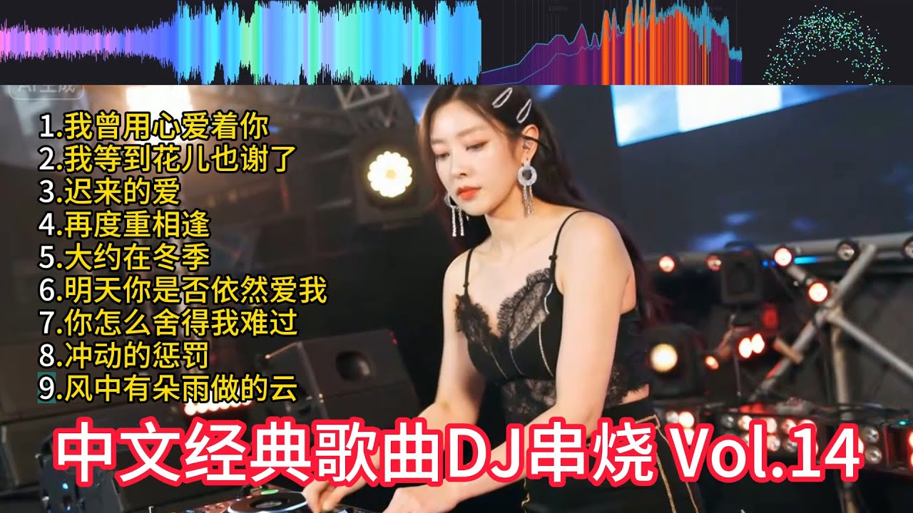 经典怀旧中文歌 DJ版REMIX串烧 慢摇动感【我曾用心爱着你】【我等到花儿也谢了】【迟来的爱】【再度重相逢】【大约在冬季】【明天你是否依然爱我】【你怎么舍得我难过】DJ打碟实录 Vol.14
