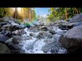 Sleep Sounds with River Ambience | Relaxing Nature for Better Sleep and Insomnia Relief