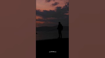 أروع تلاوة خاشعة تهز القلوب | ترتيل مؤثر للقرآن الكريم