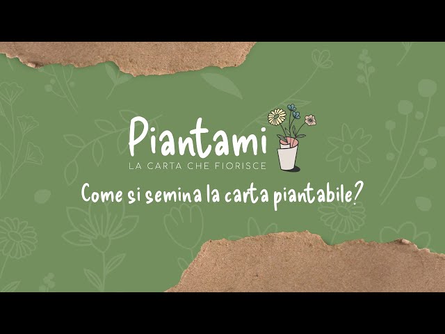 Come si usa la carta piantabile? 🪴 Piantami: istruzioni per