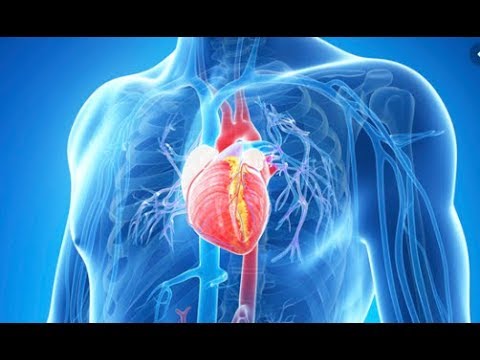 How To Prevent Heart Disease ???? - YouTube