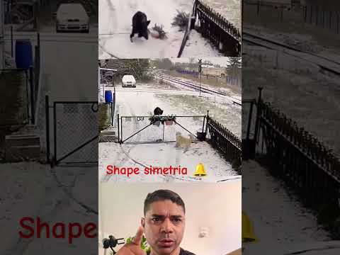 Porco vs cachorro