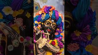 Krishna The Supreme Personality of Godhead ❤️