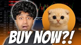 Time To Buy Sachi Now? New Cat Meme Coin On Solana Sachi Could Explode Here