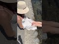 白川郷は素敵