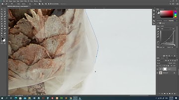 How to learn Clipping Path & Remove Background in Photoshop