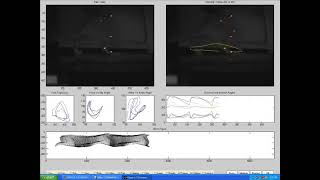 Rat Track Gait Analysis #gait #markers #matlab #biomechanics #mocap